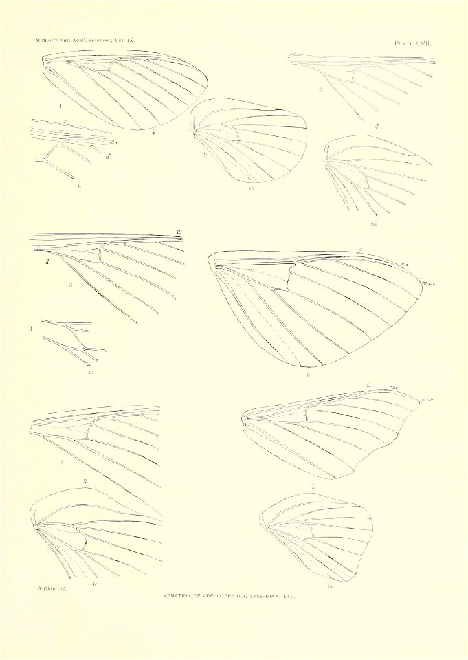 n384_w1150