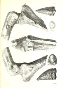 n42_w1150