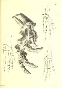 n136_w1150