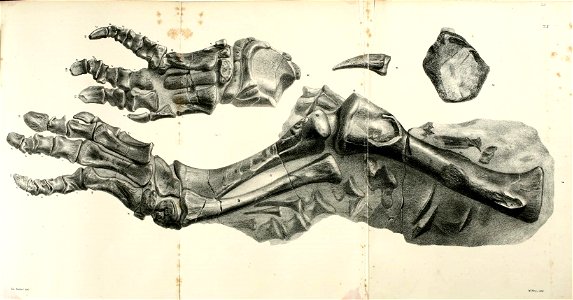 n132_w1150