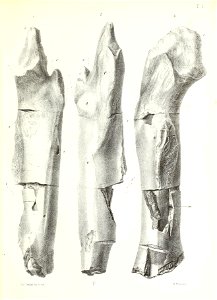 n38_w1150