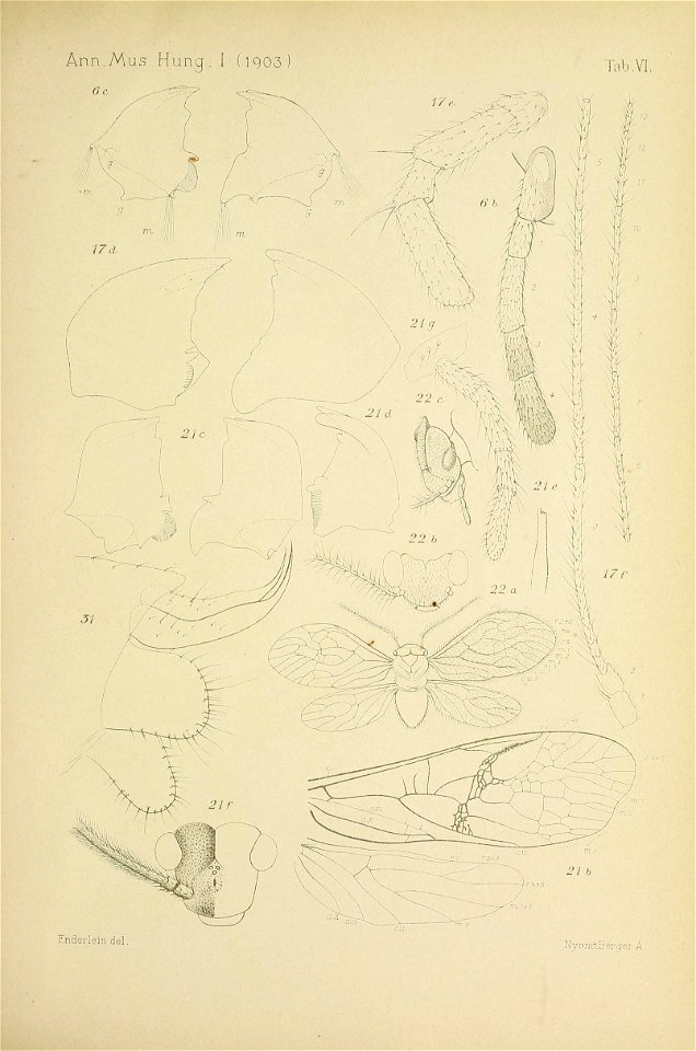 n596_w1150
