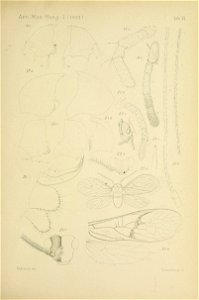 n596_w1150