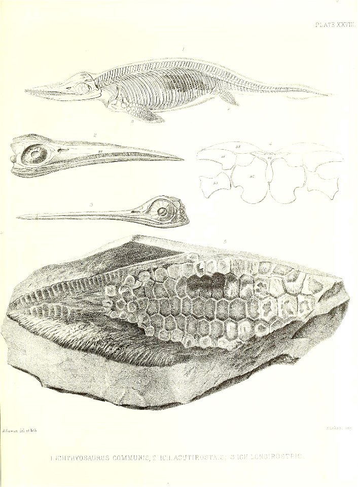 n416_w1150