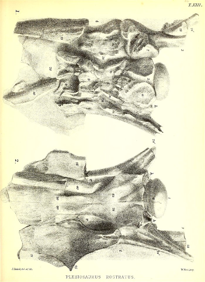 n246_w1150