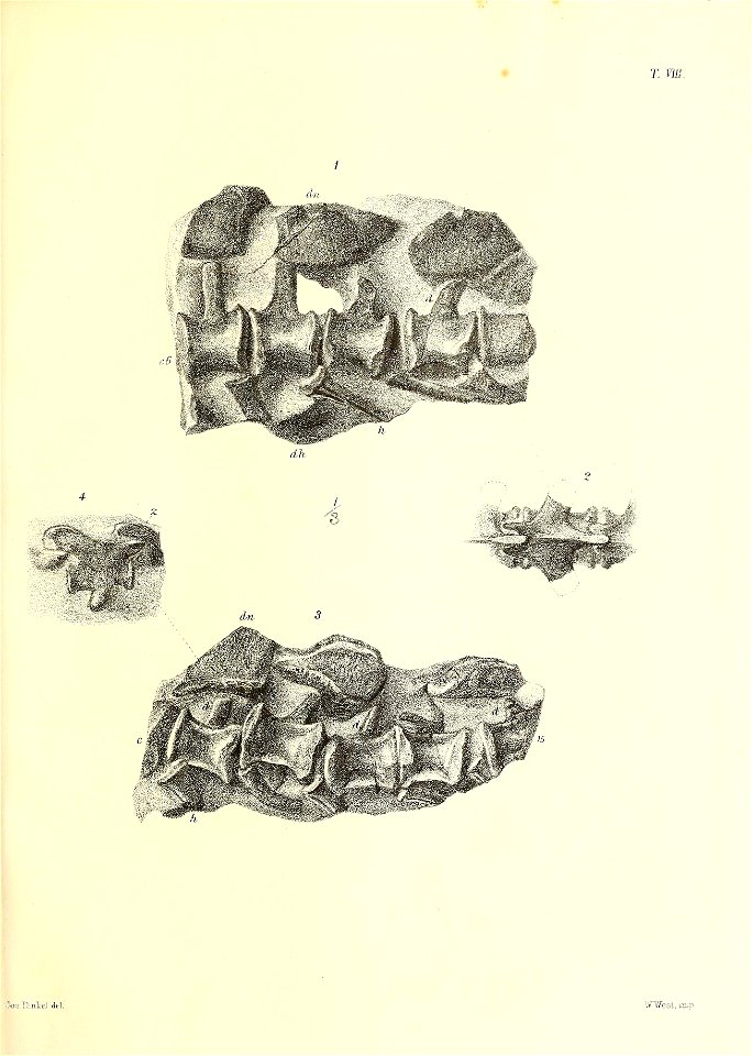 n122_w1150