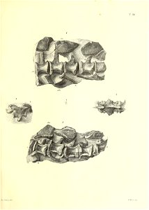 n122_w1150