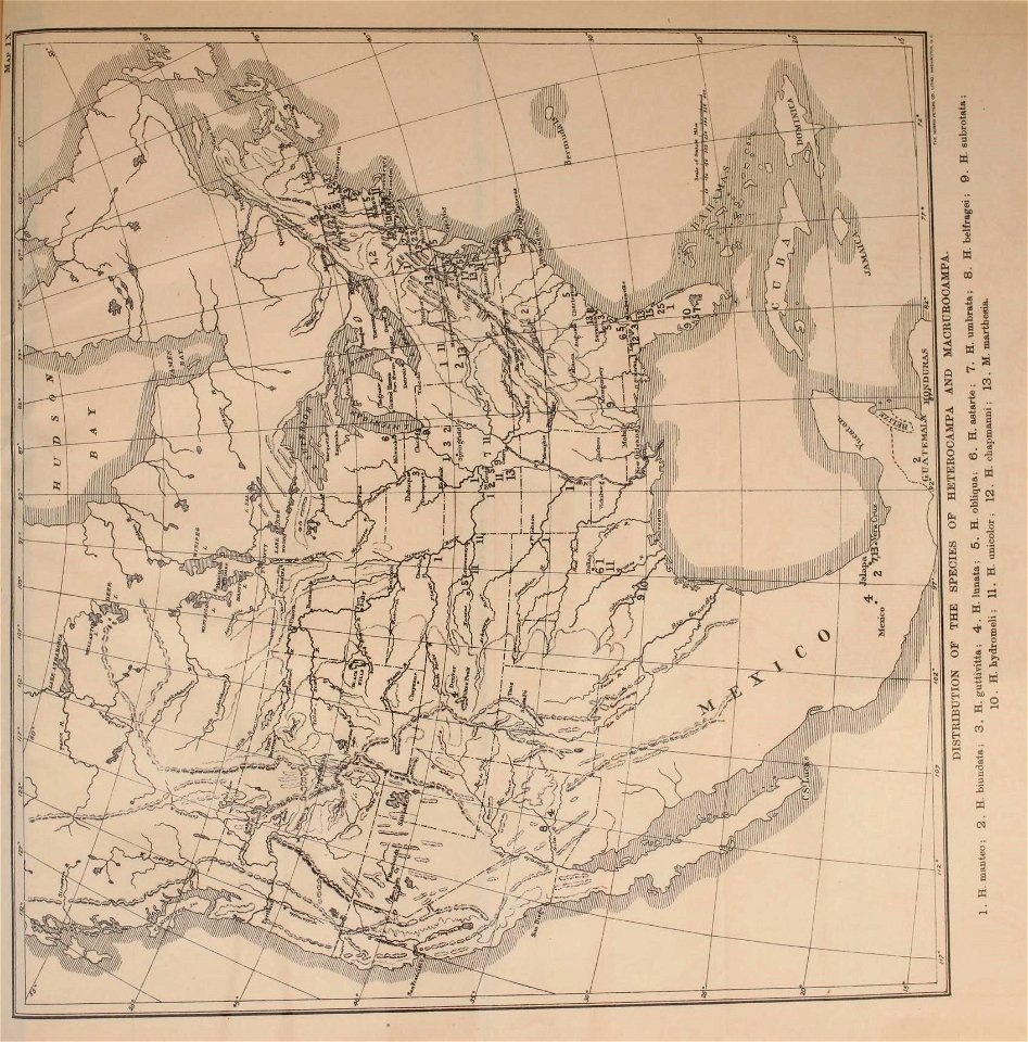 n526_w1150