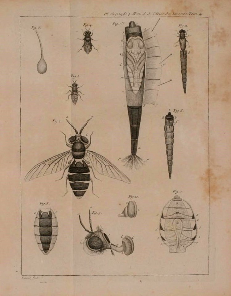 n492_w1150