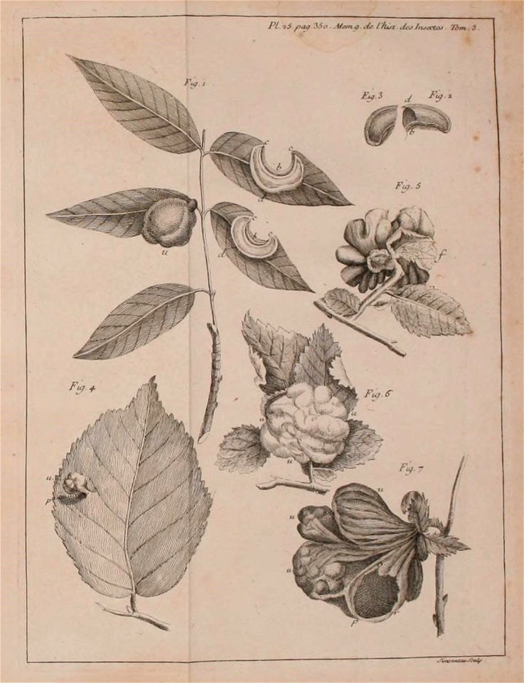 n498_w1150