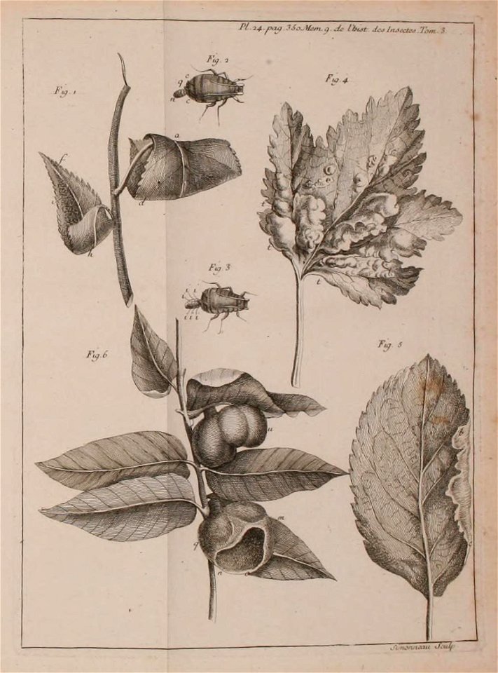 n494_w1150