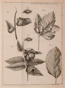 n494_w1150