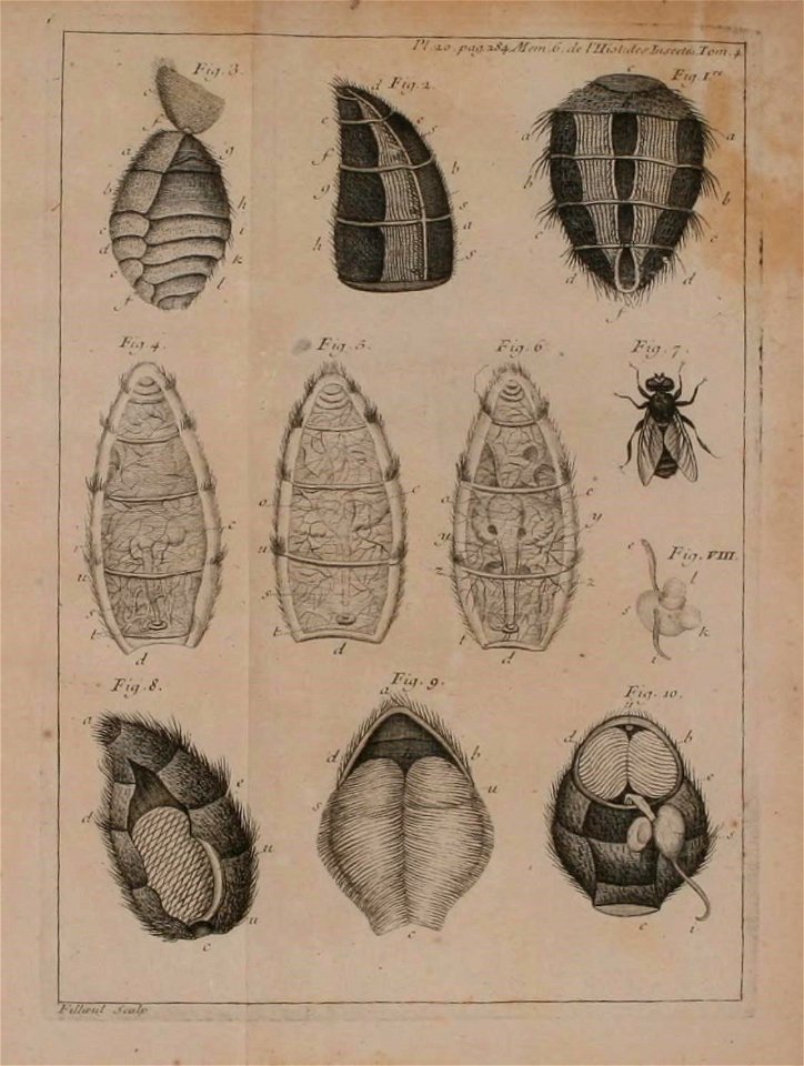 n404_w1150