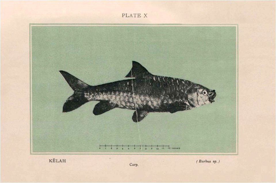 n269_w1150