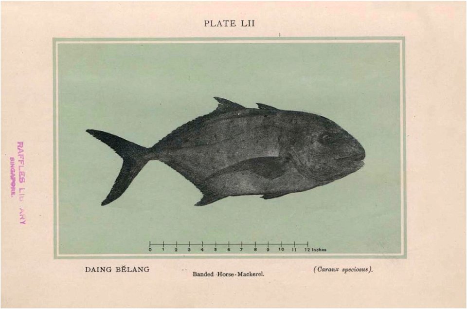 n311_w1150