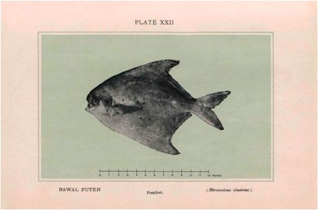 n281_w1150