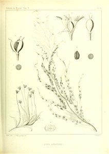 n508_w1150