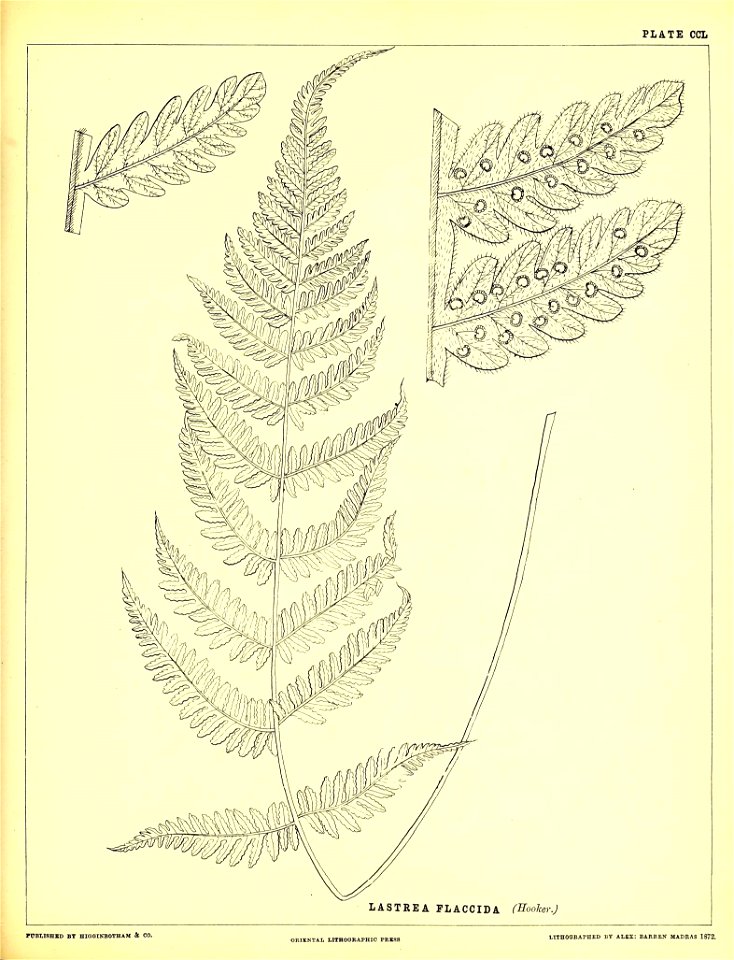 n614_w1150