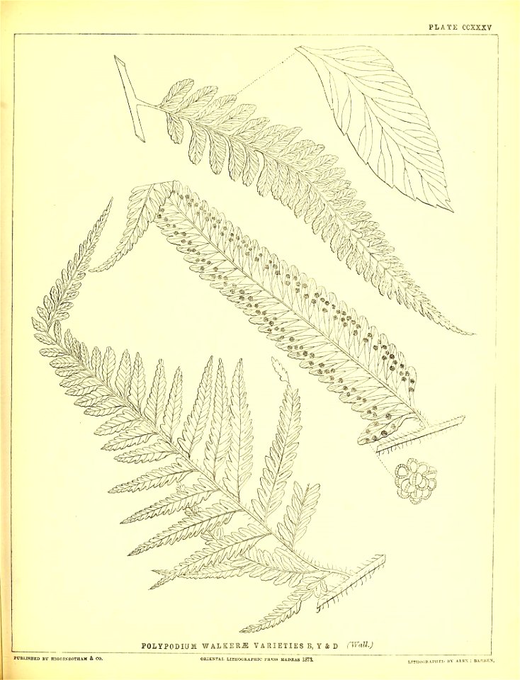 n584_w1150
