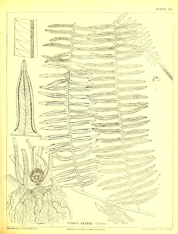 n524_w1150