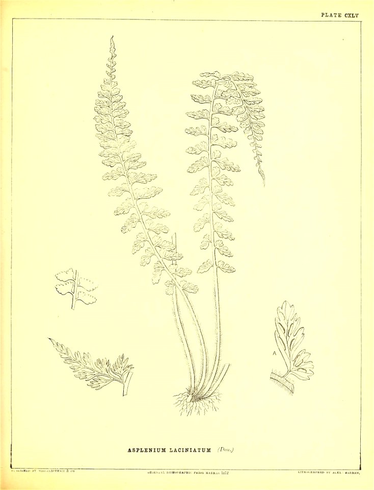 n404_w1150