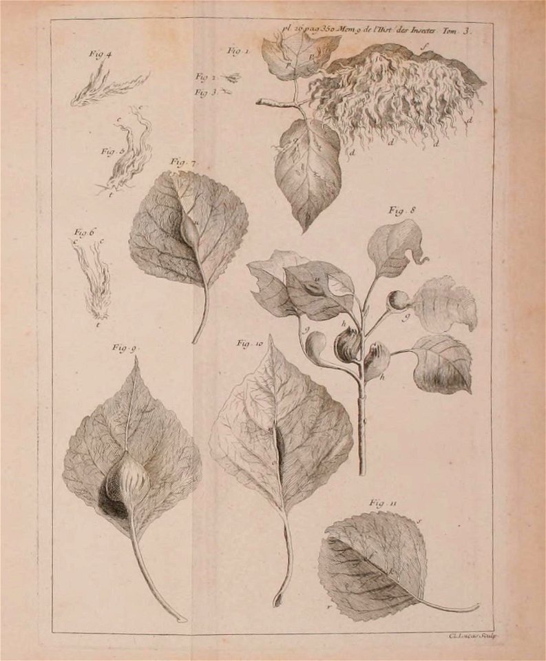 n502_w1150