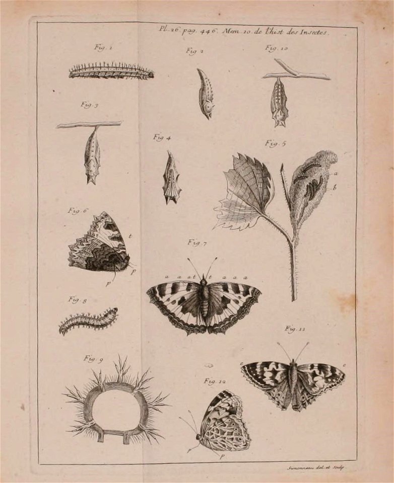 n562_w1150