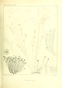 n504_w1150