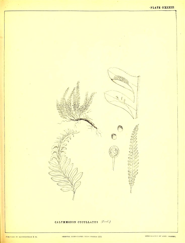 n580_w1150