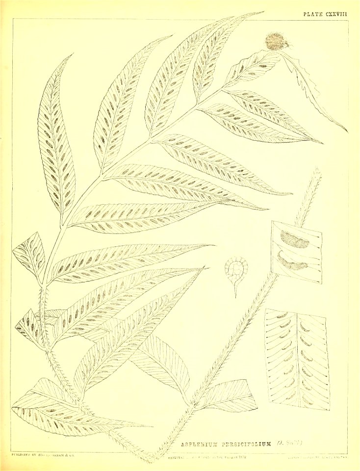 n370_w1150