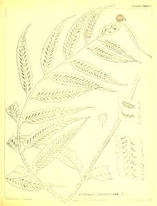 n370_w1150