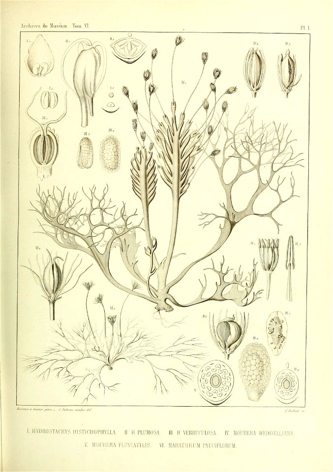 n502_w1150