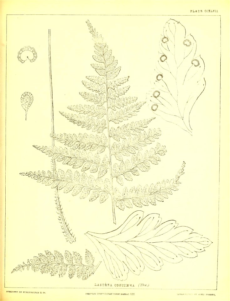 n608_w1150