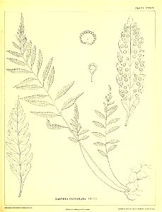 n606_w1150