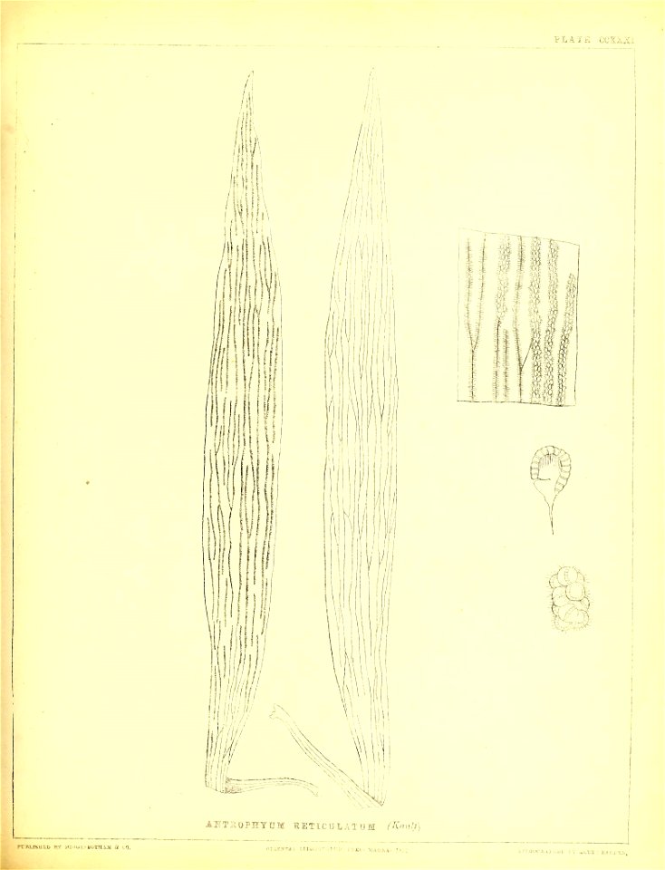n576_w1150
