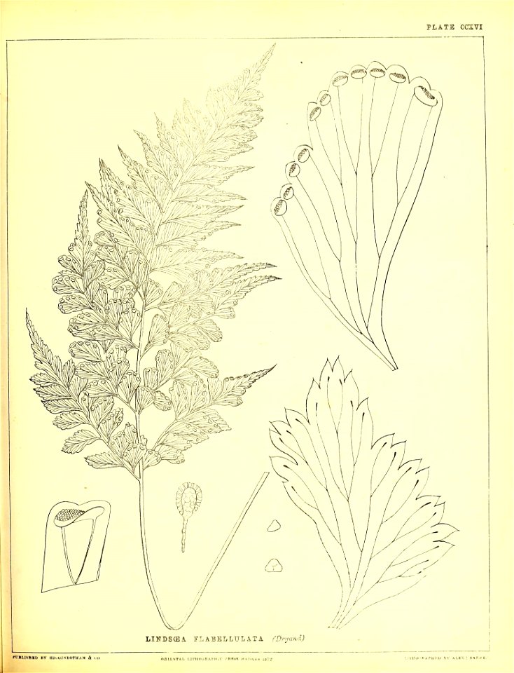 n546_w1150