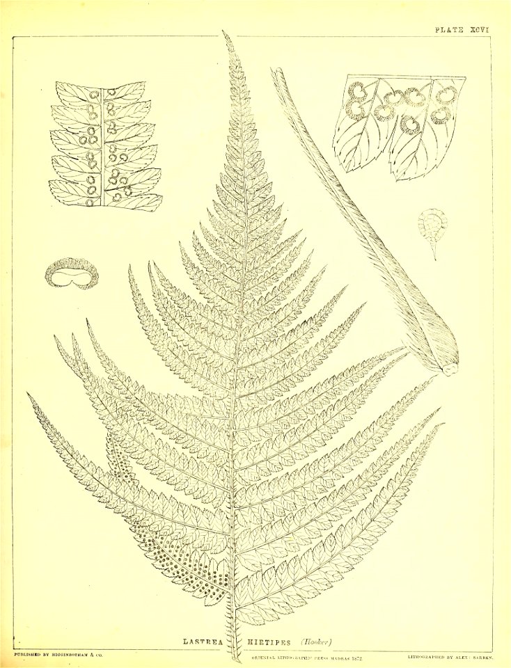n306_w1150