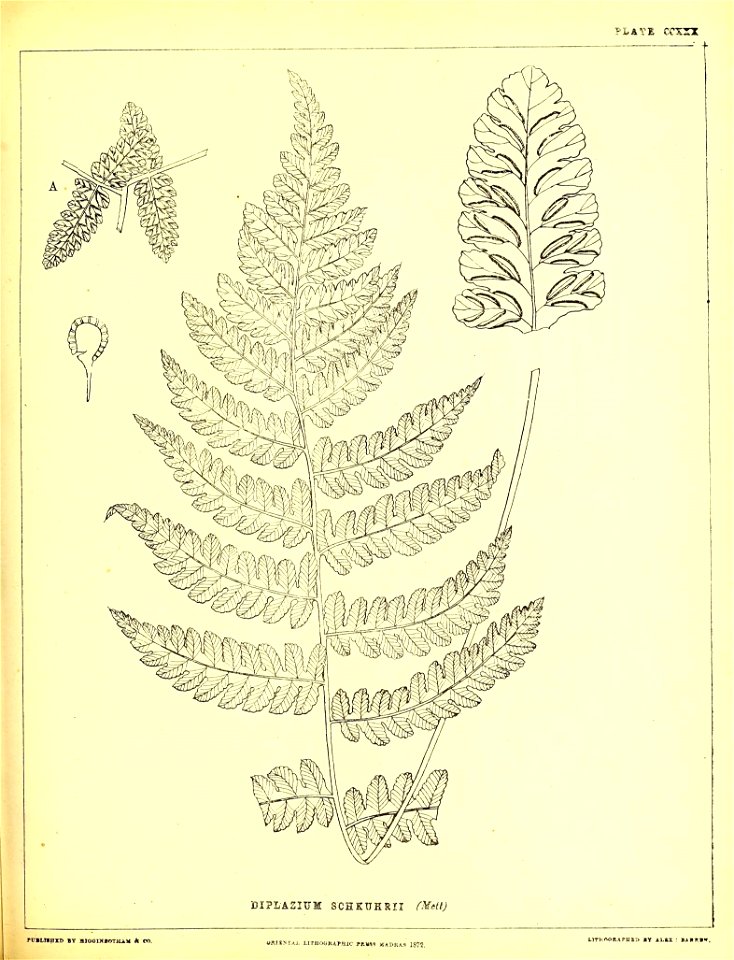 n574_w1150