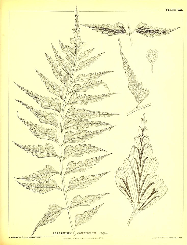 n394_w1150