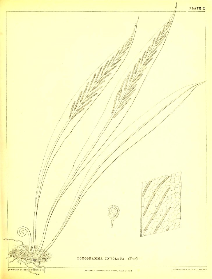 n214_w1150