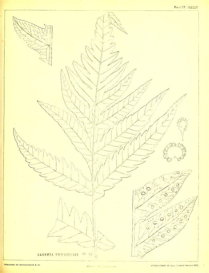 n602_w1150