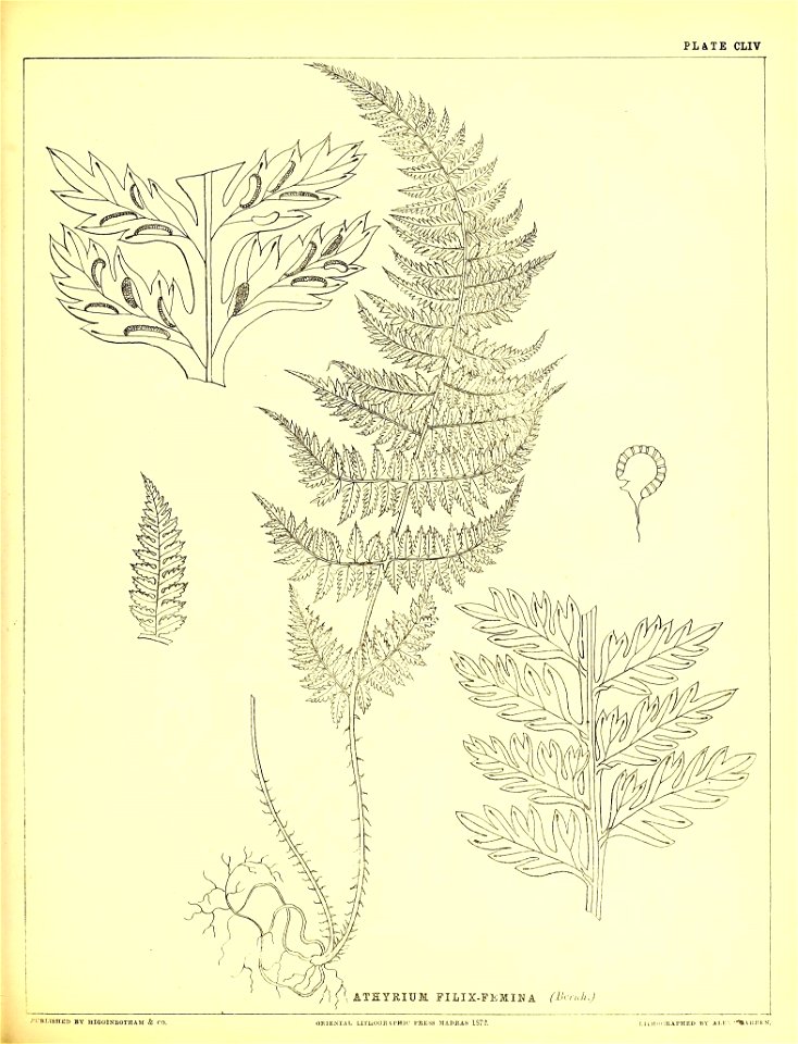 n422_w1150