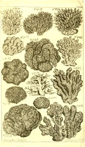 n590_w1150