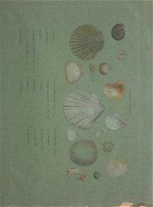 n42_w1150