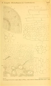 n156_w1150