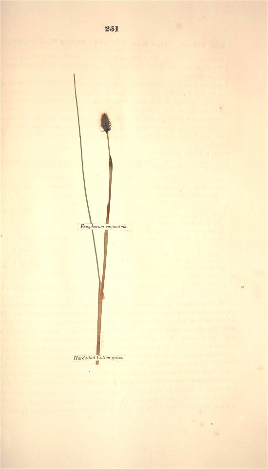 n322_w1150