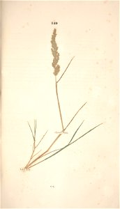 n220_w1150