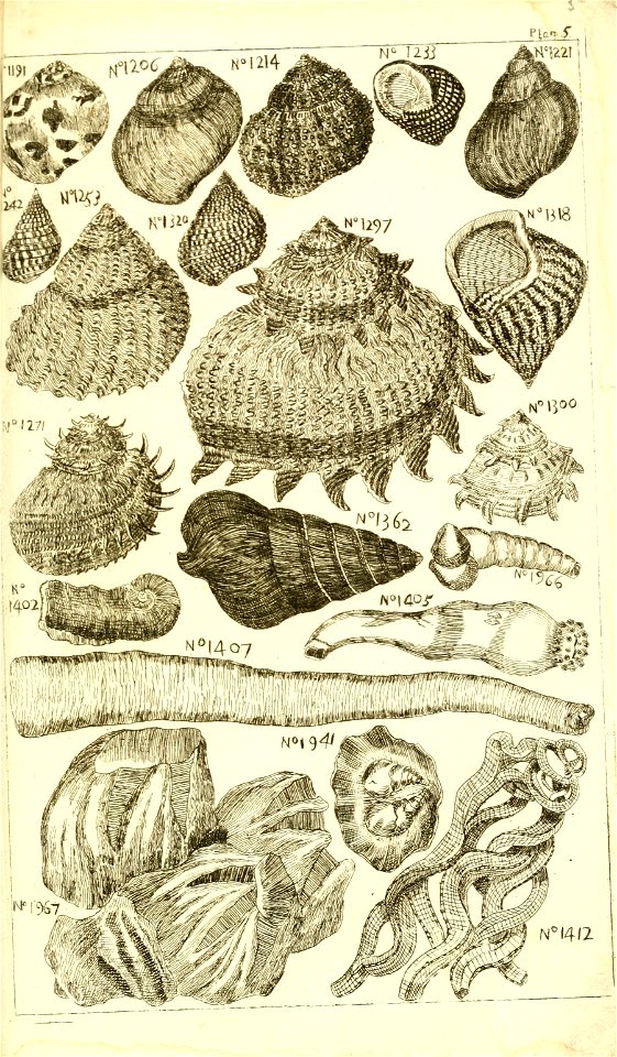 n584_w1150