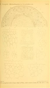 n150_w1150