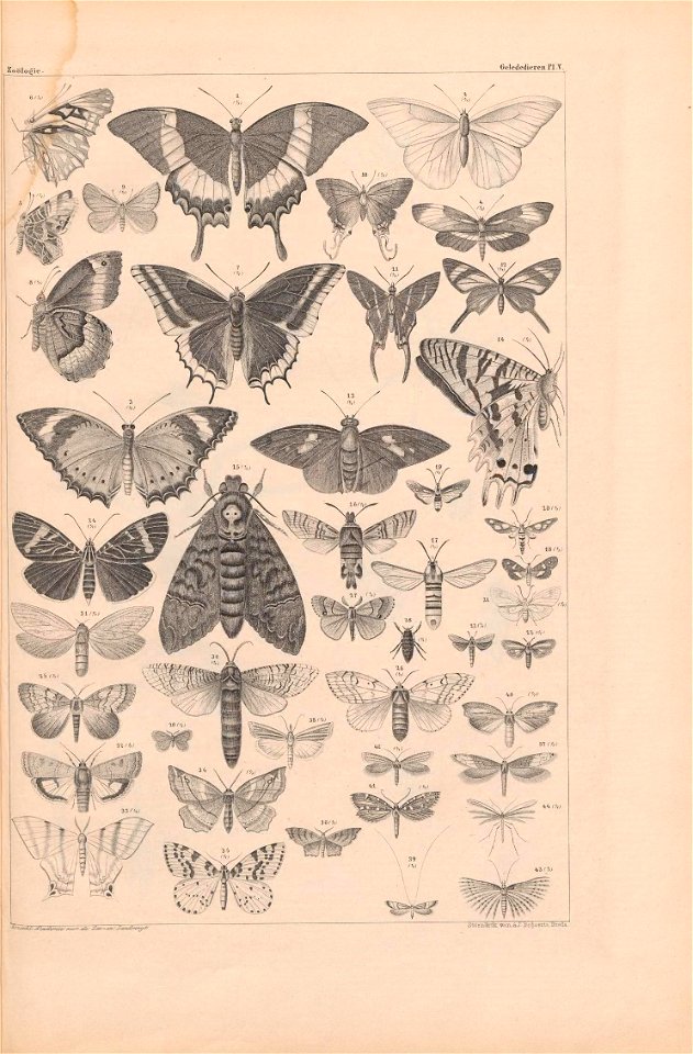 n58_w1150